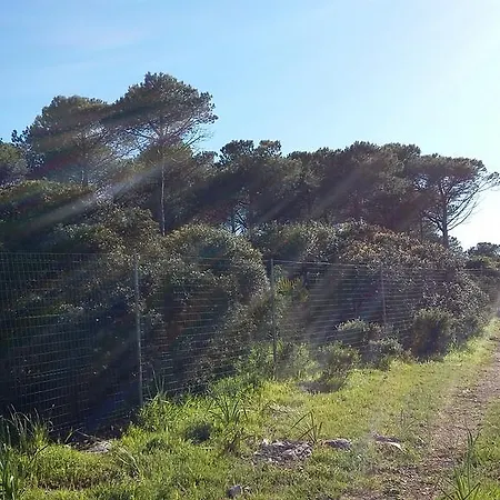 Rosanna * Alghero