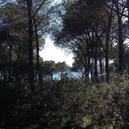 Rosanna Appartamento Alghero