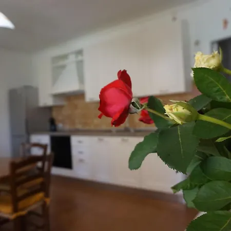 Apartment Rosanna House In Bombarde Alghero